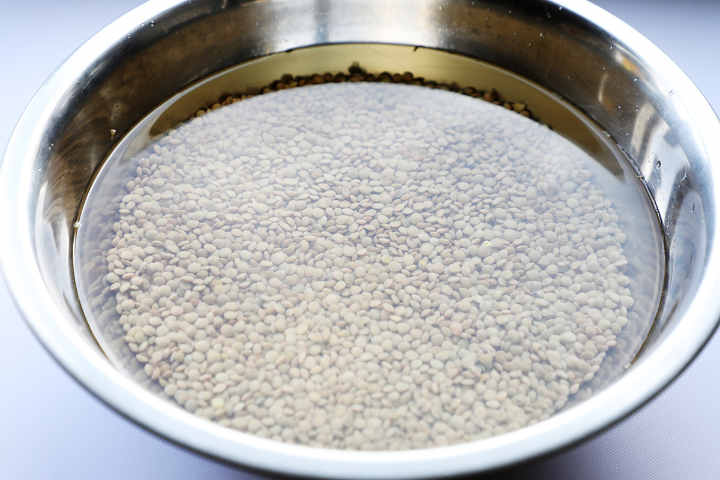 Lentils Soaking in Water